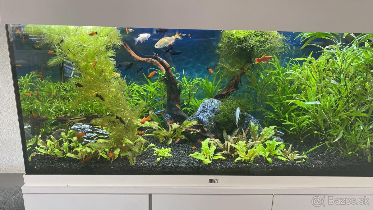 Akvarium