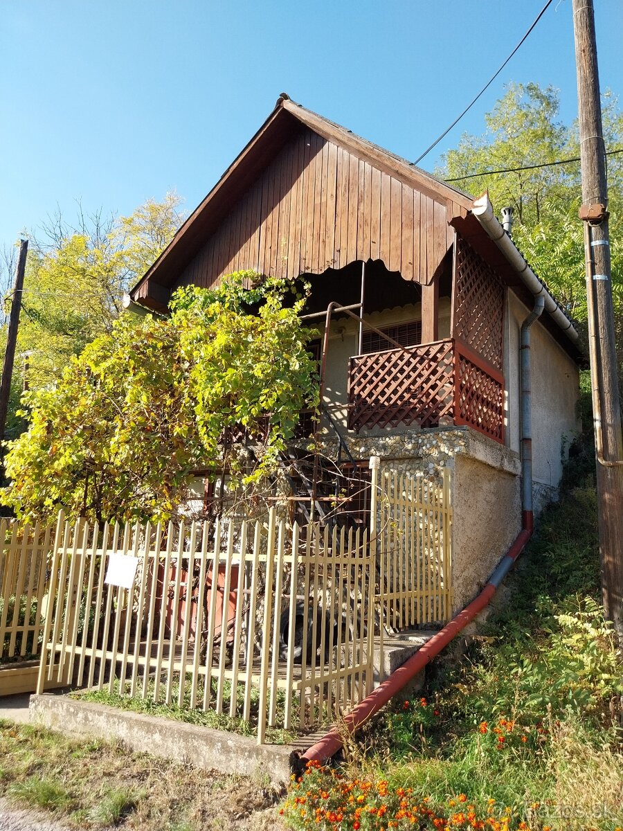 Na predaj chatka s vínnou pivnicou a vinicou v obci Búč