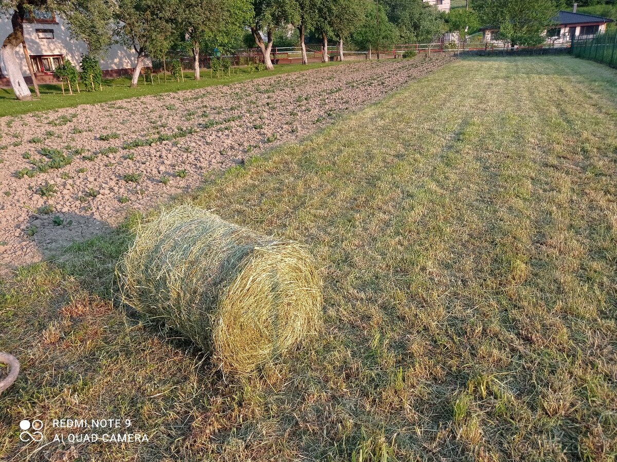 Seno v malých balíkoch