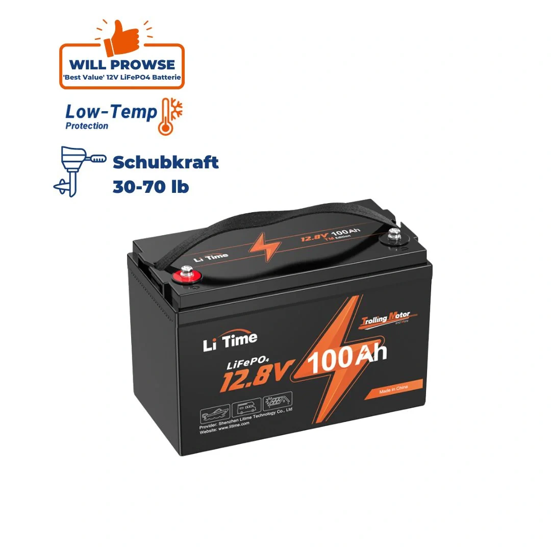 Lifepo4 LiTime 12V 100Ah s BMS