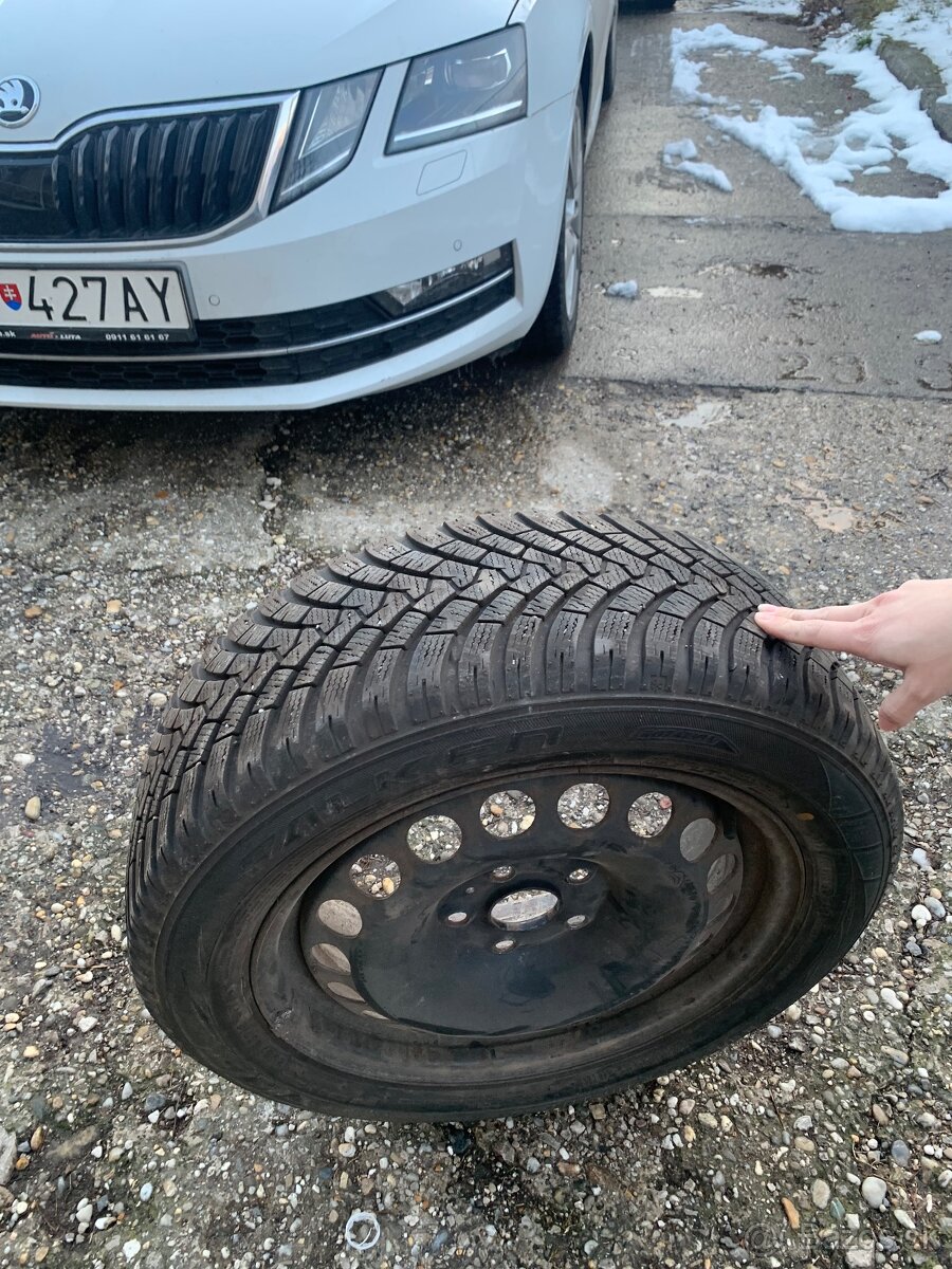 Falken EuroWinter HS01 205/55 R16 91 H RFT Zimné