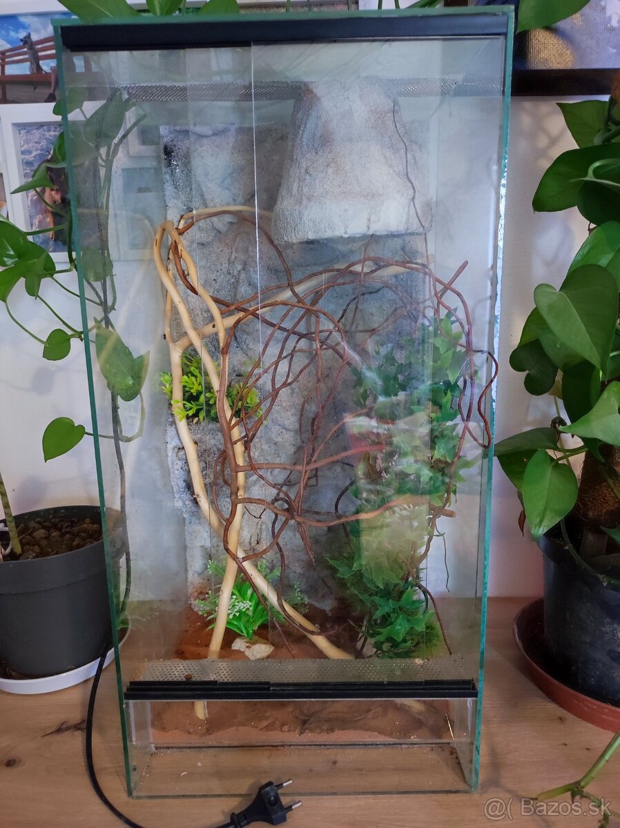 Terarium