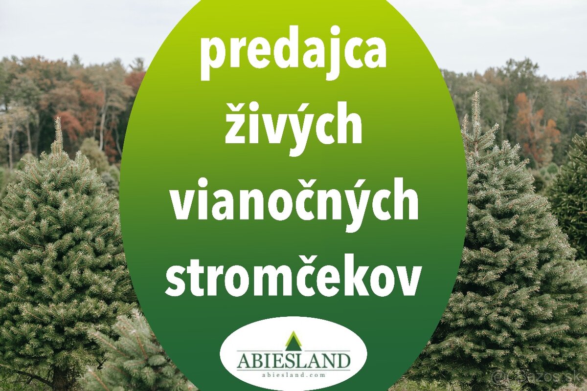 PREDAVAČ VIANOČNÝCH STROMČEKOV Malacky