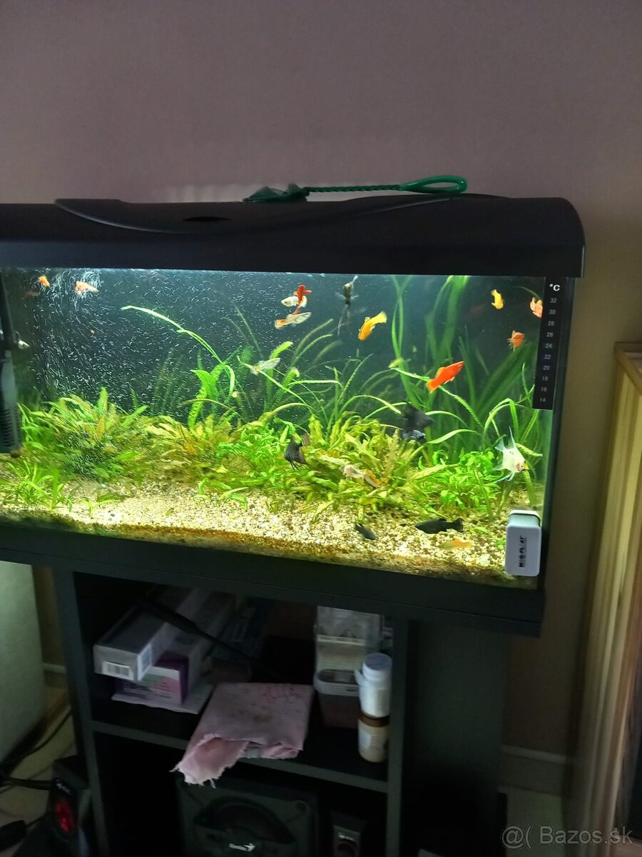 Predam akvarium