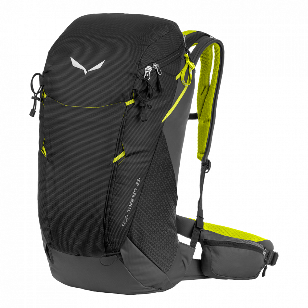 Salewa Alp Trainer 25