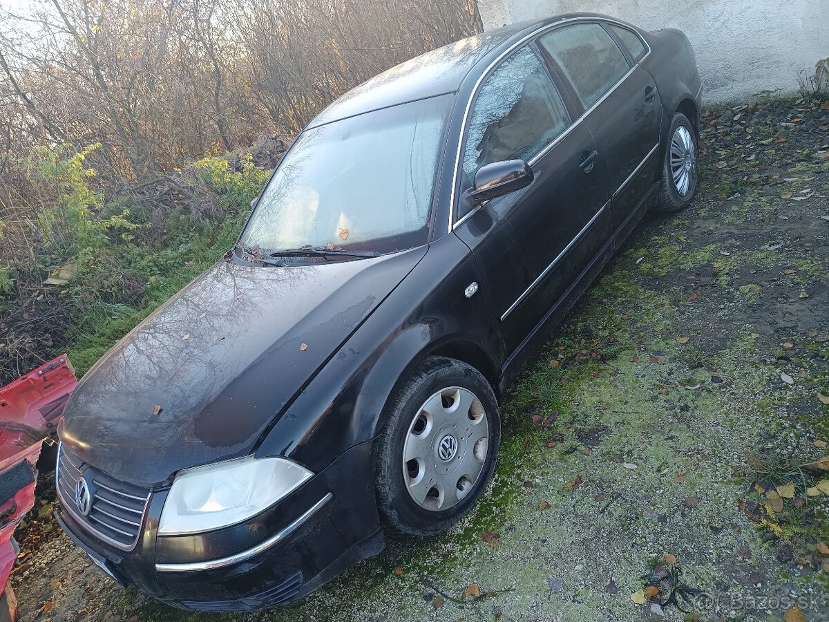 VW Passat