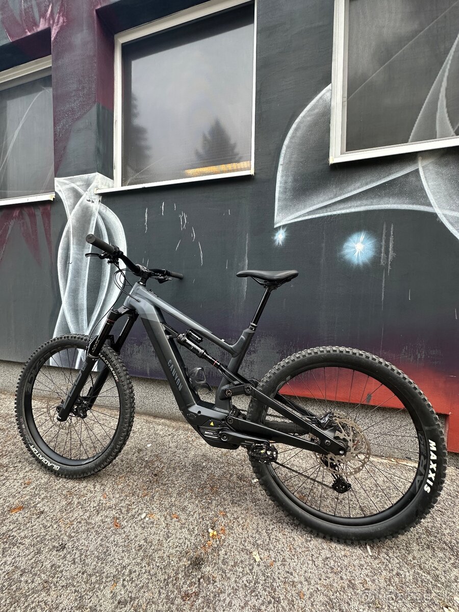 Ebike Canyon Torque