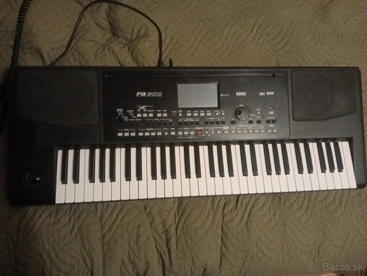 Korg pa 300