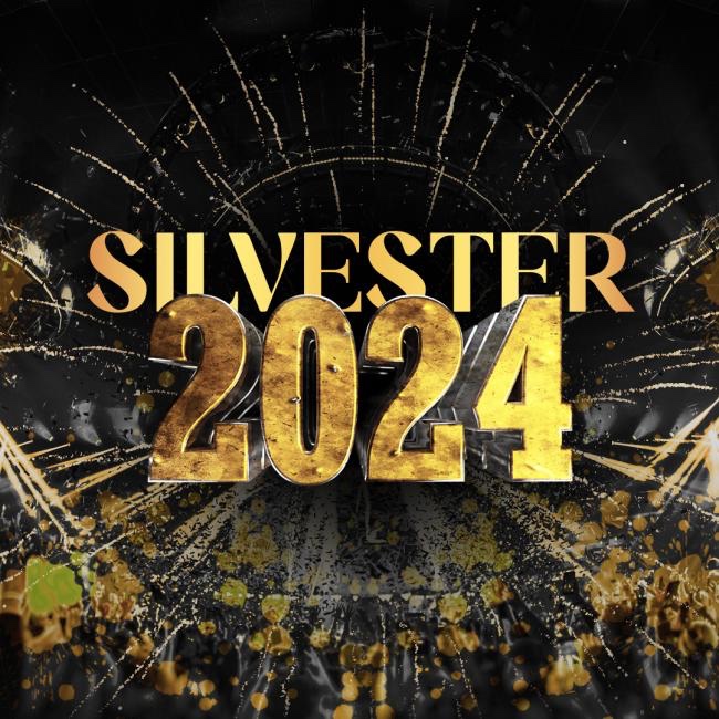 VIP- SILVESTER MINISTRY OF FUN