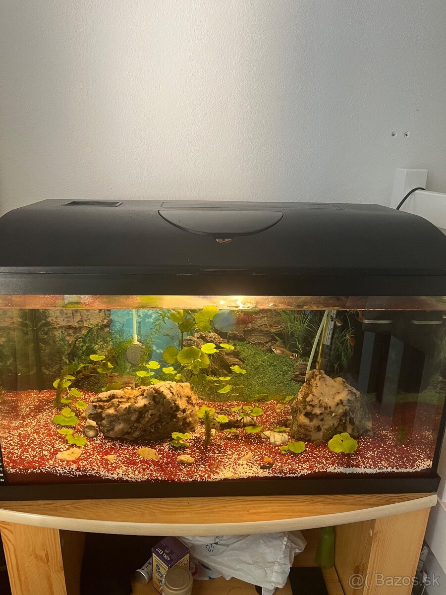 Predam 60 l akvarium