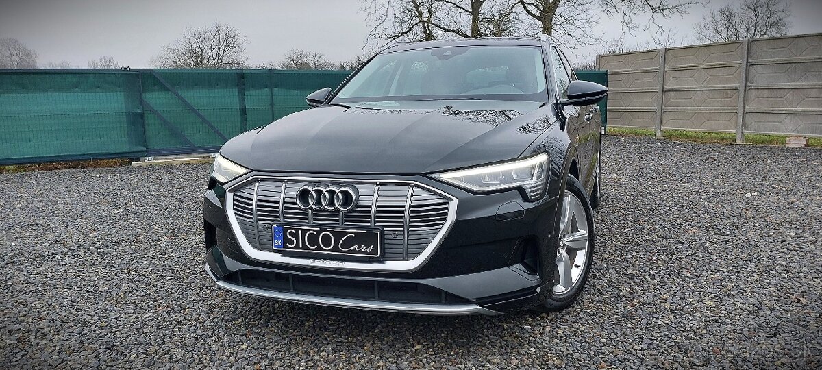 Audi E-tron 50 quattro, 230 KW 312 Hp, Line Assist, DPH