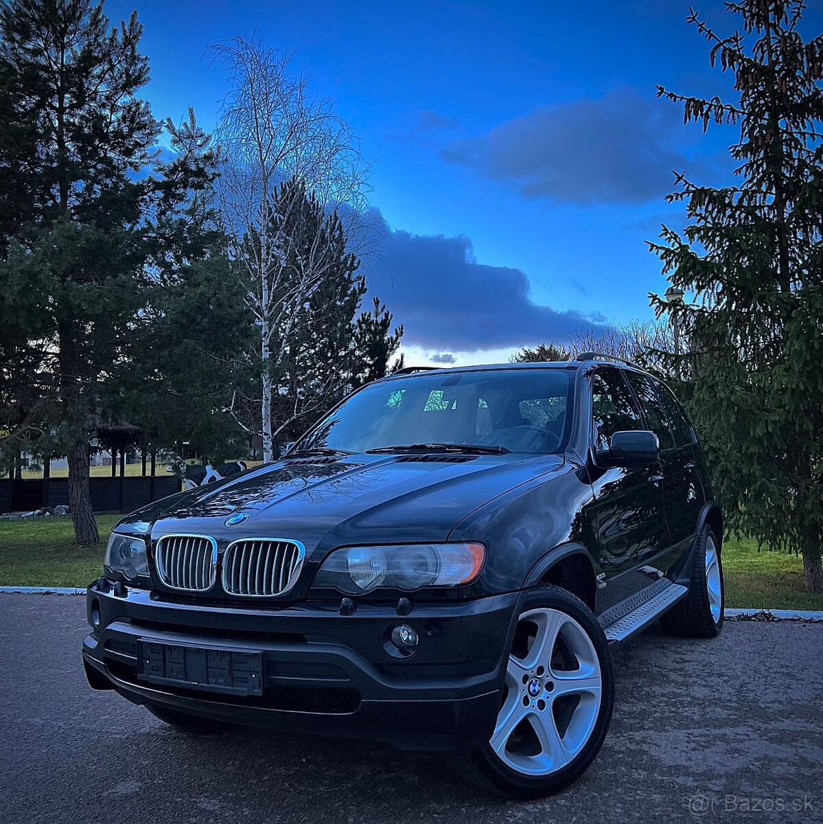 Bmw X5 4.6 iS Alpina V8 255kw 347ps • 91.000km • Cartier •