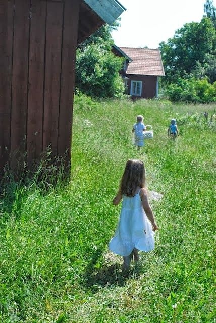 Dom v okolí Detvy, Kriváň.. (cca do 30 km)