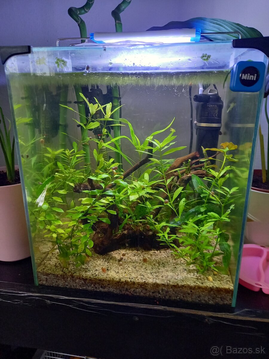 Predam nano akvarium +plus led