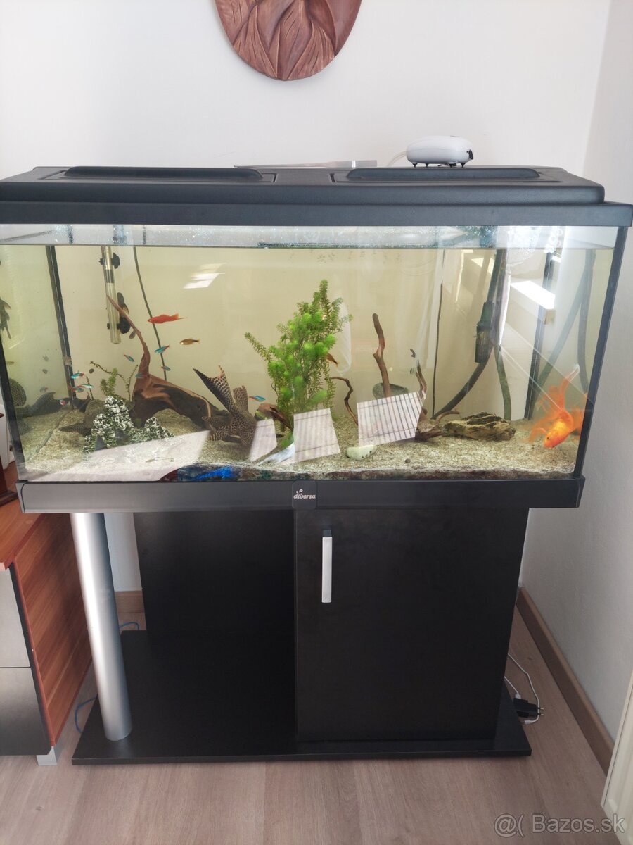 Akvarium s rybičkami