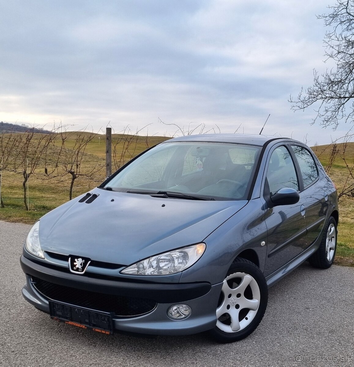 Peugeot 206 1.4 55KW/75PS R.V.01/2006