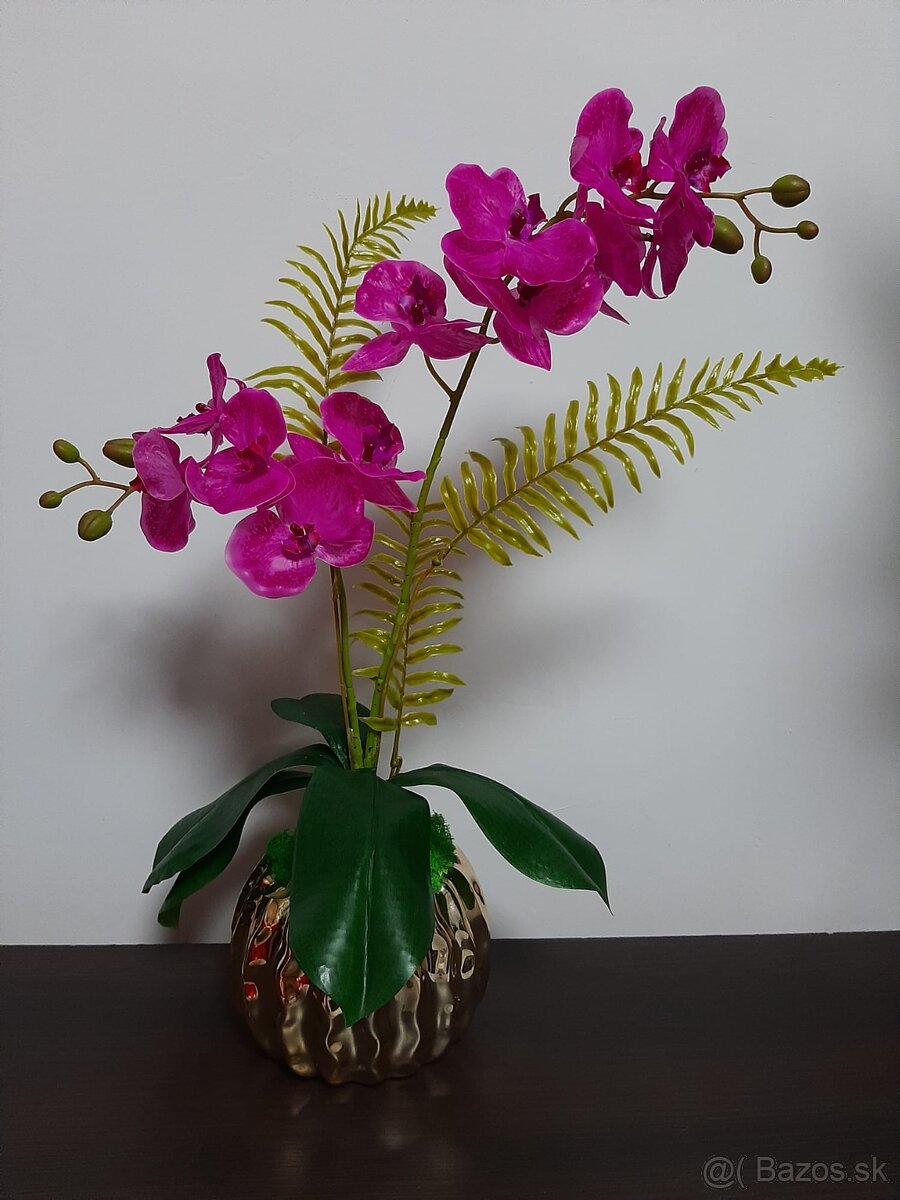 Dekoratívna orchidea tmavo fialová