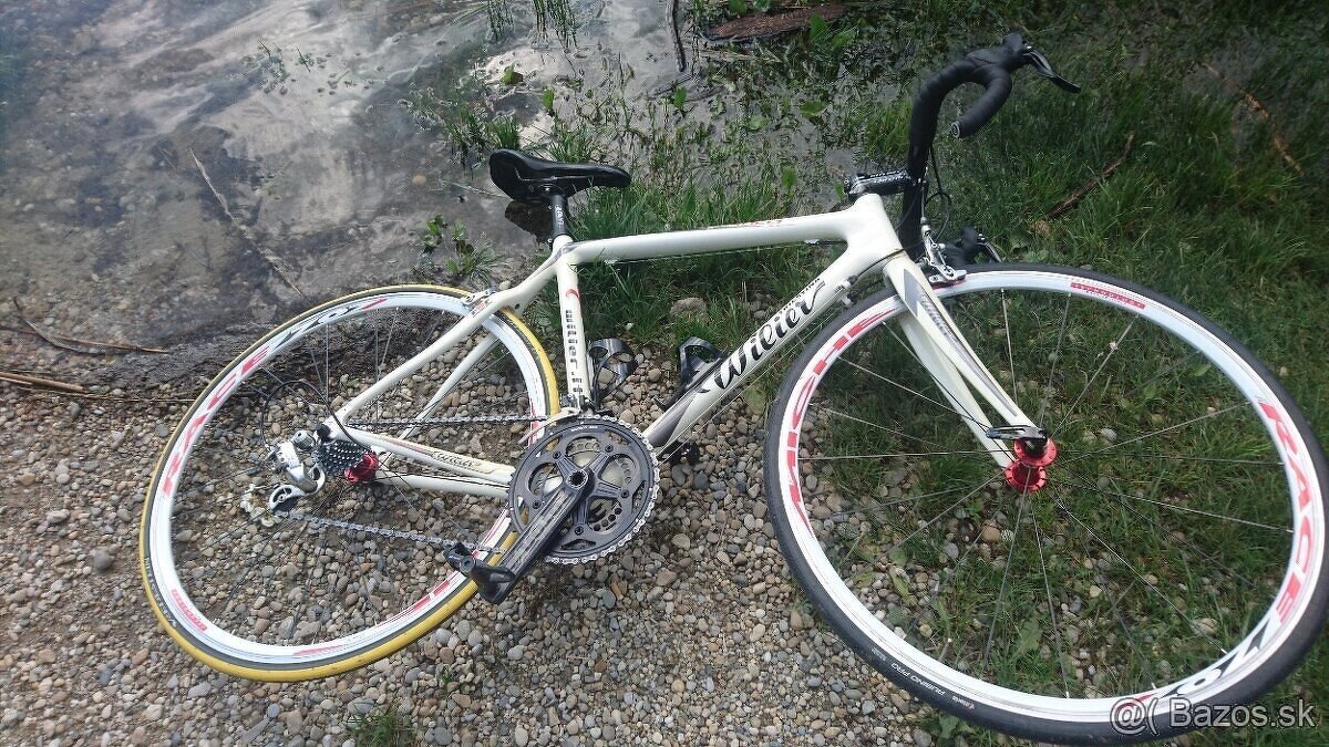 Celokarbon -Wilier Triestina Mortirolo (It)ultegra(Jpn)(Shim