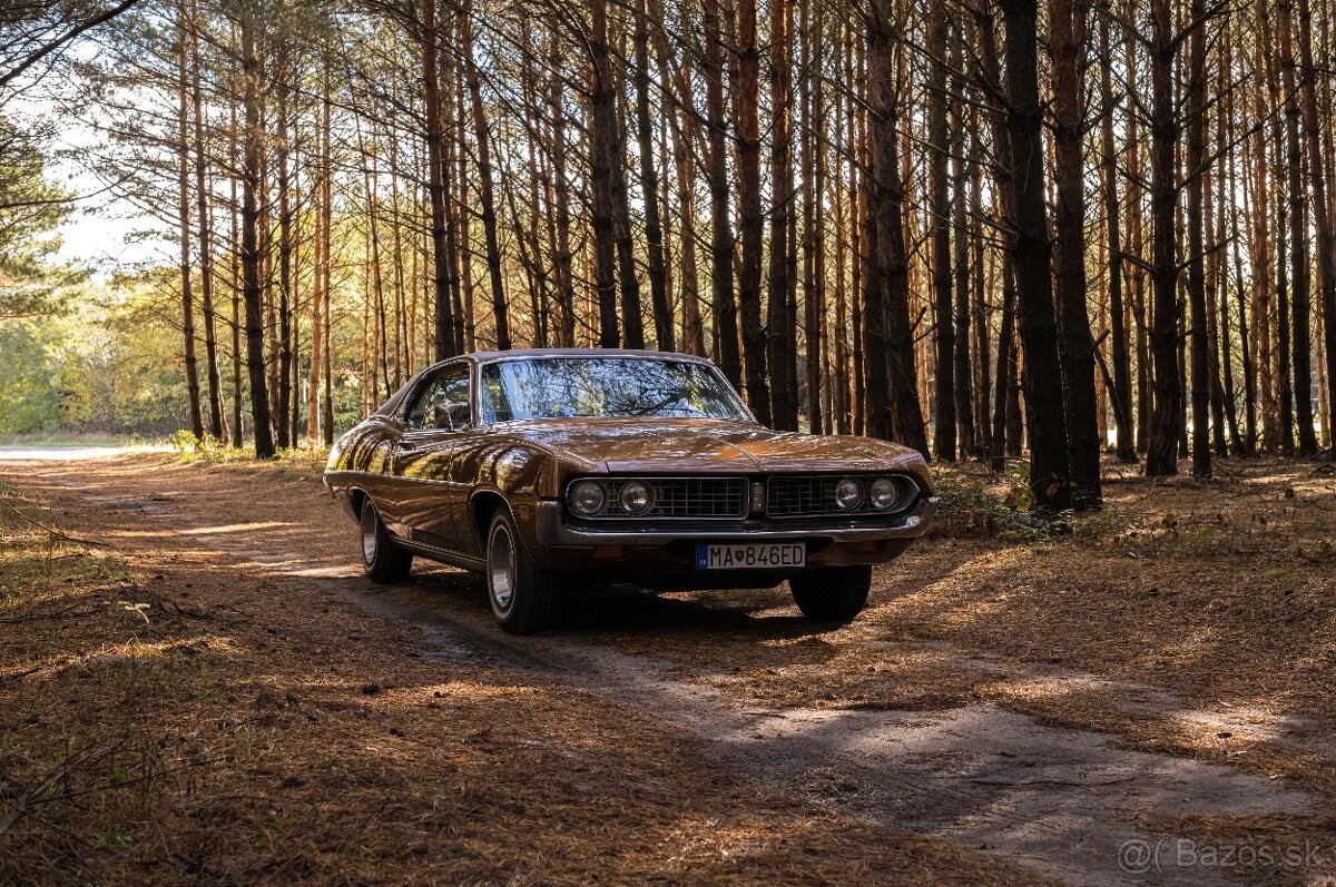 Ford Torino 500