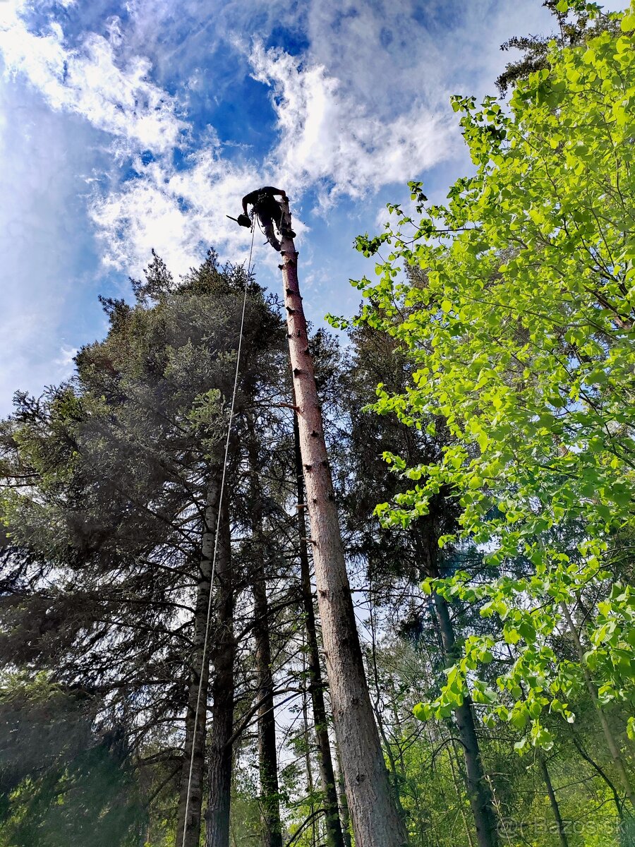 Výrub, pílenie, rizikový výrub, arboristika