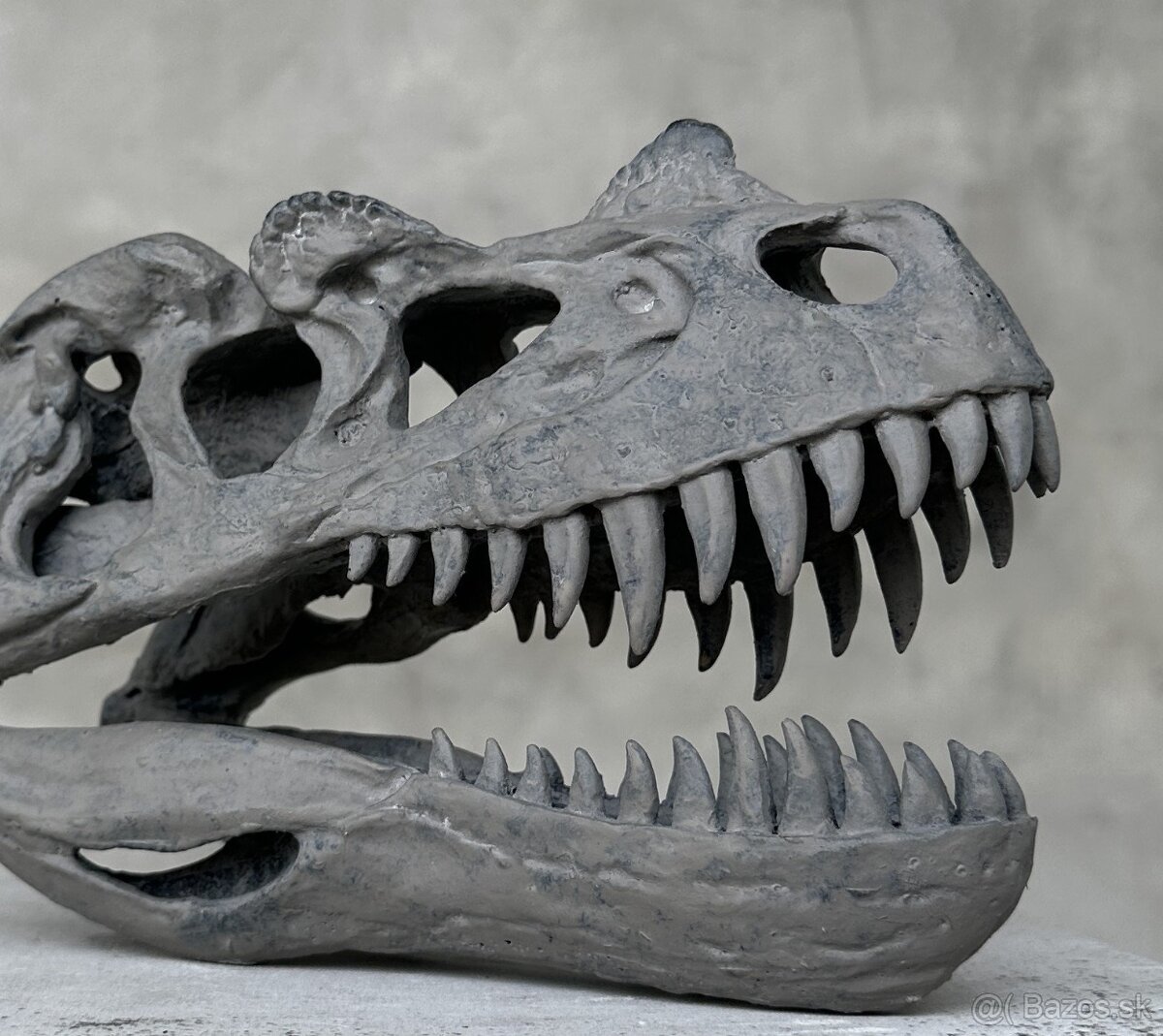 Replika lebky dinosaura Ceratosaurus Múzejná kvalita, 20cm