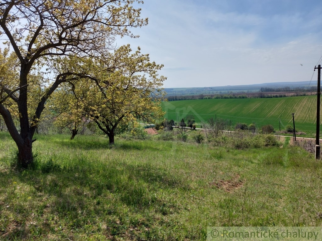 Rozľahlý pozemok na samote vhodný na stavbu blízko vinársk