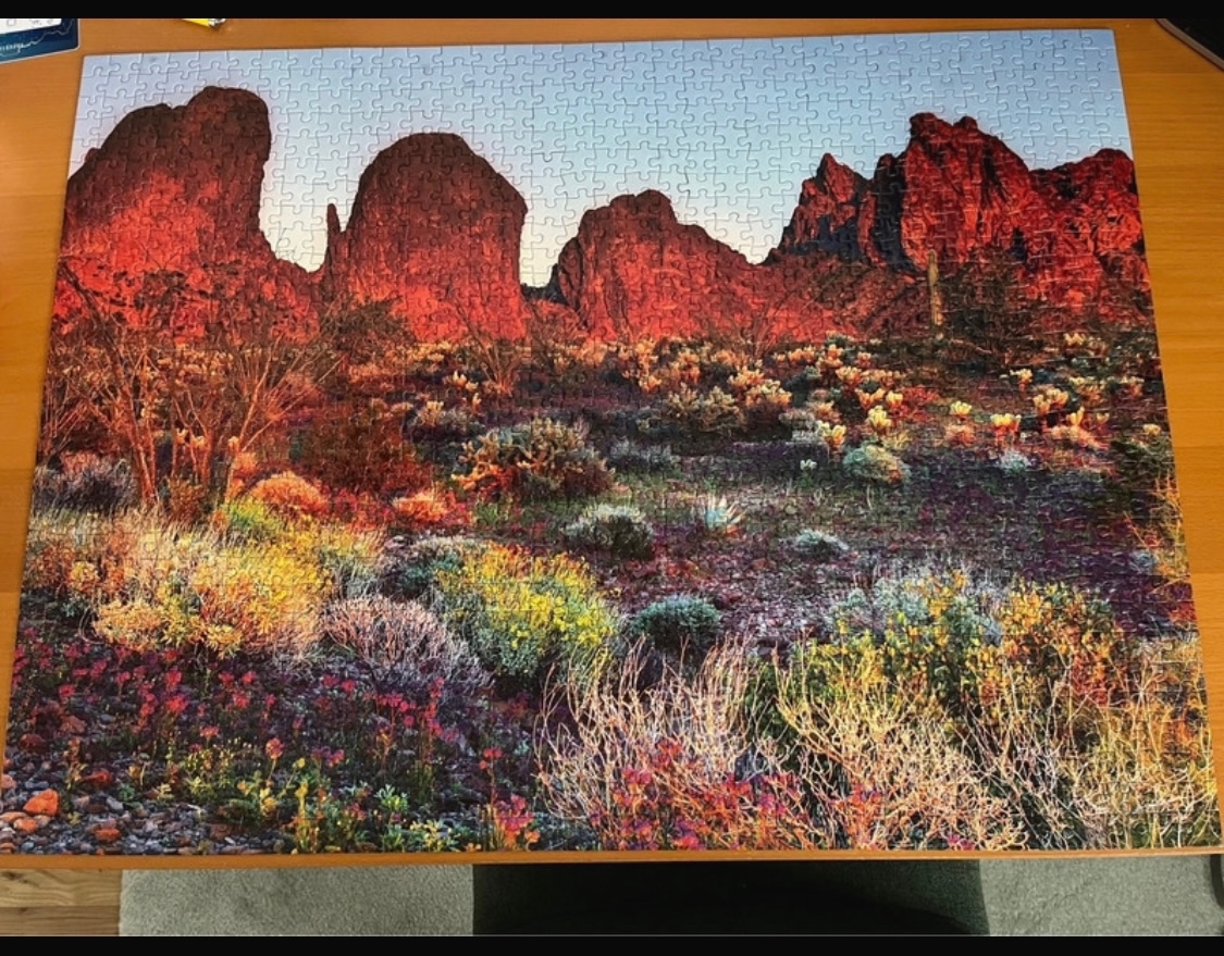 Puzzle Arizona