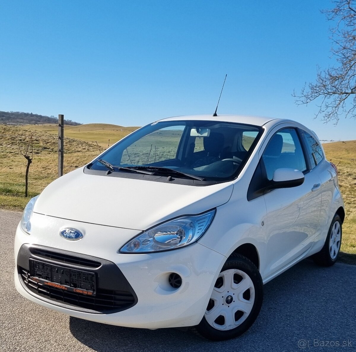 Ford Ka 1.25 16V 51KW/70KW R.V.07/2009