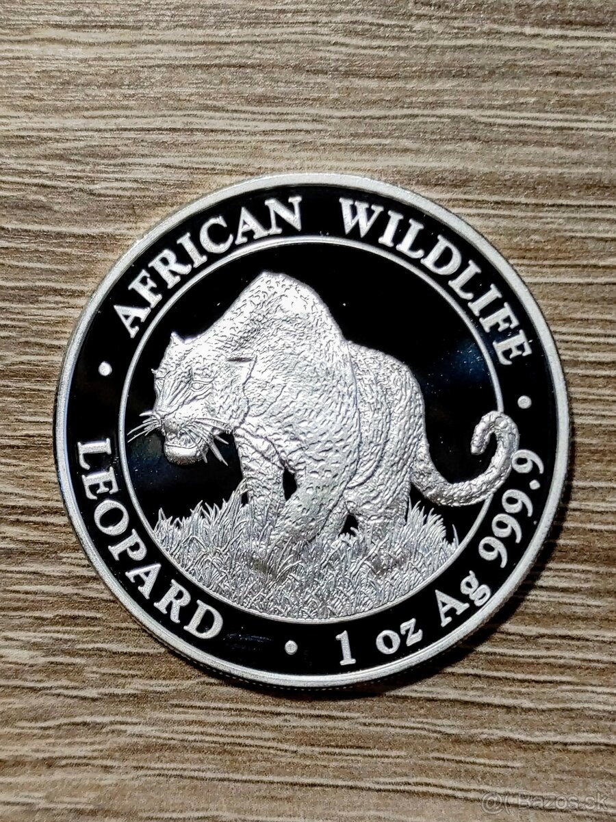 Somálsko Leopard 2023 African Wildlife 1 oz