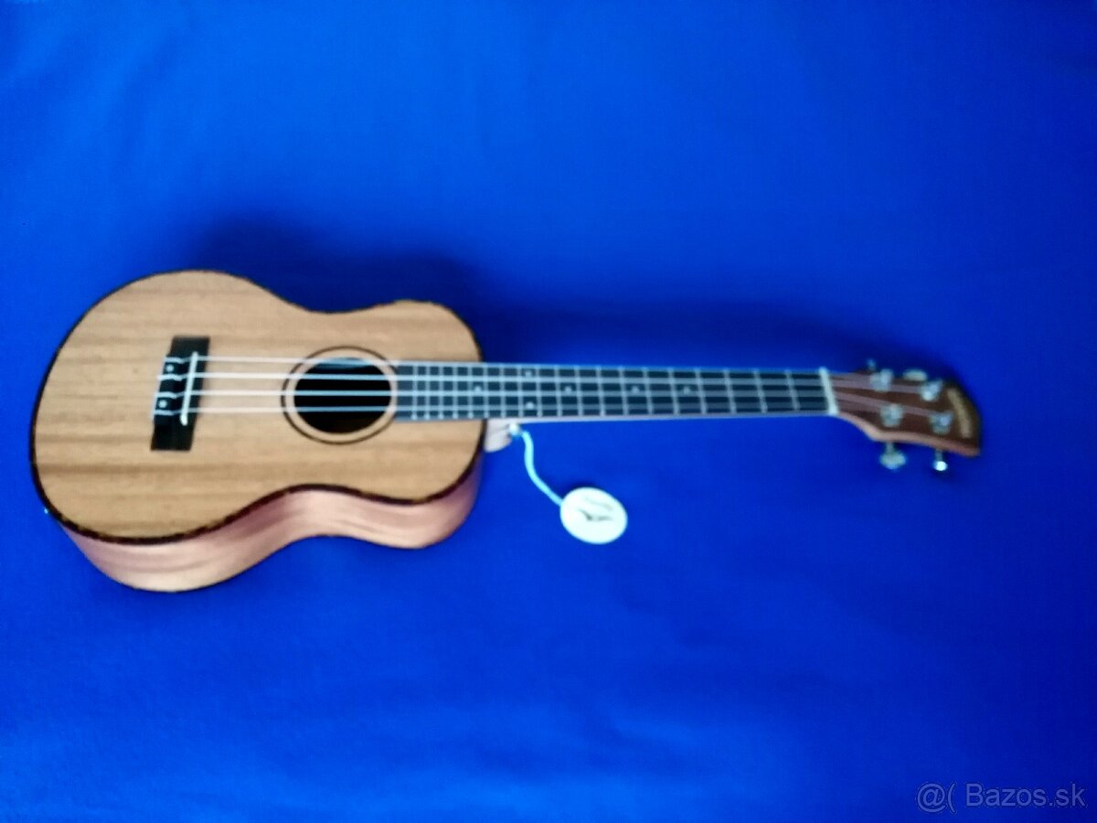 Predam ukulele CASCHA HH2047E.