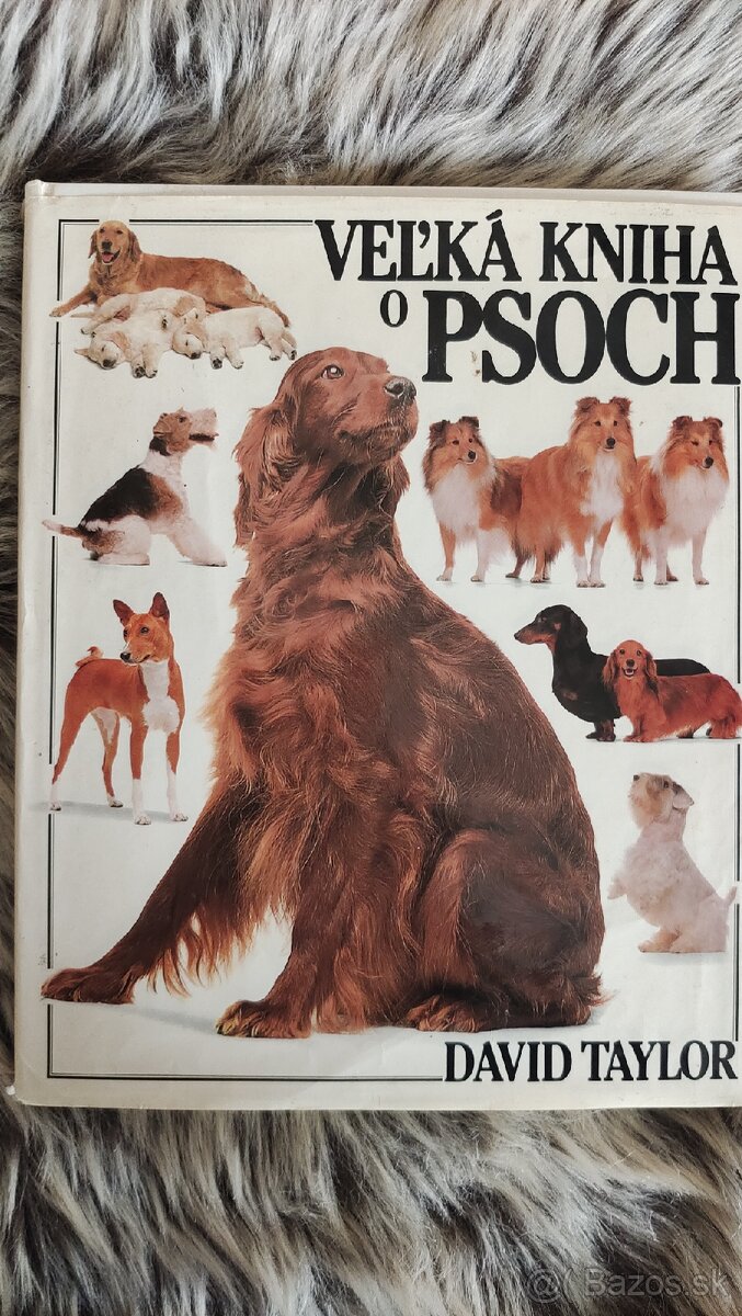 Veľká kniha o psoch