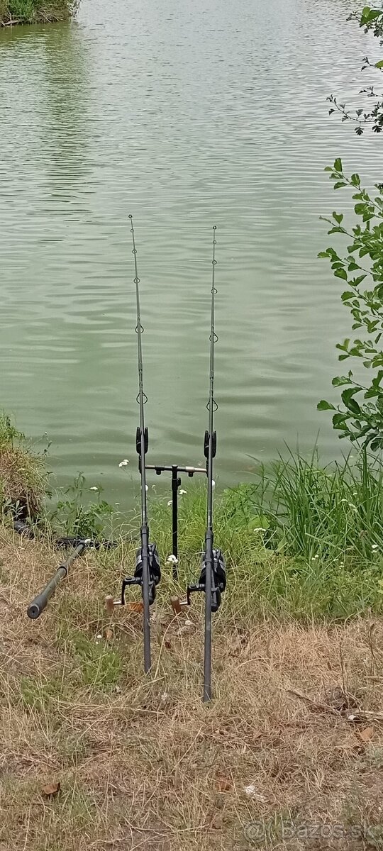 2x Prologic Prút C2 Element FS Carp Rod 3 m (10 ft) 3,25 lb