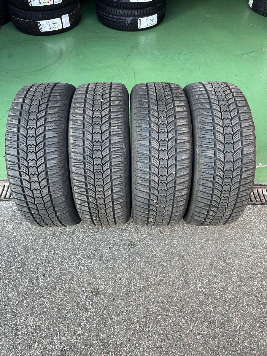 205/55 R16 91 H SAVA ESKIMO HP2