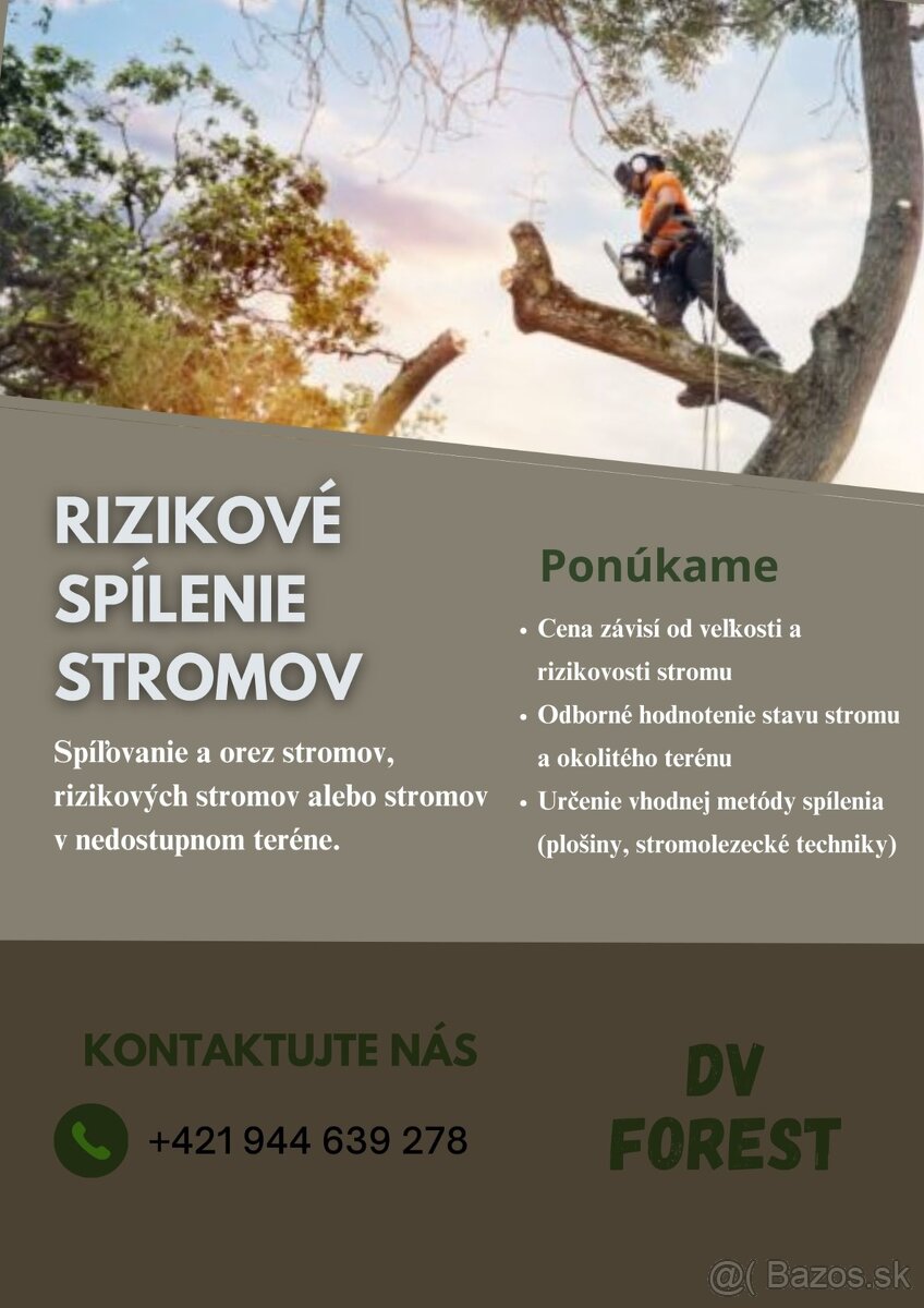 Rizikové spílenie stromov