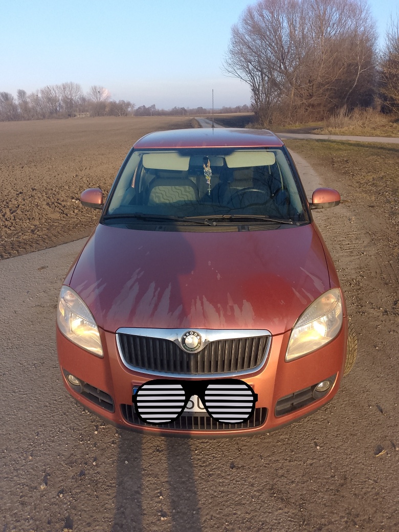 Fabia lpg