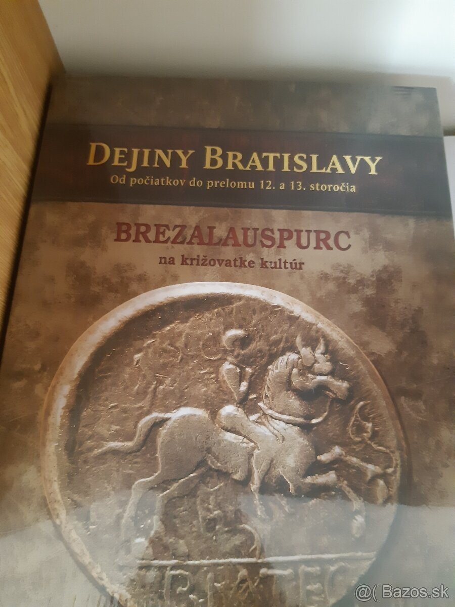 Dejiny Bratislavy šedivý