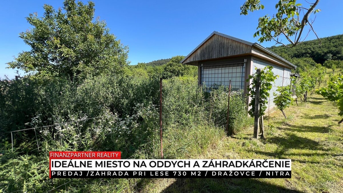 Záhrada pri lese 730 m2, Dražovce, Nitra