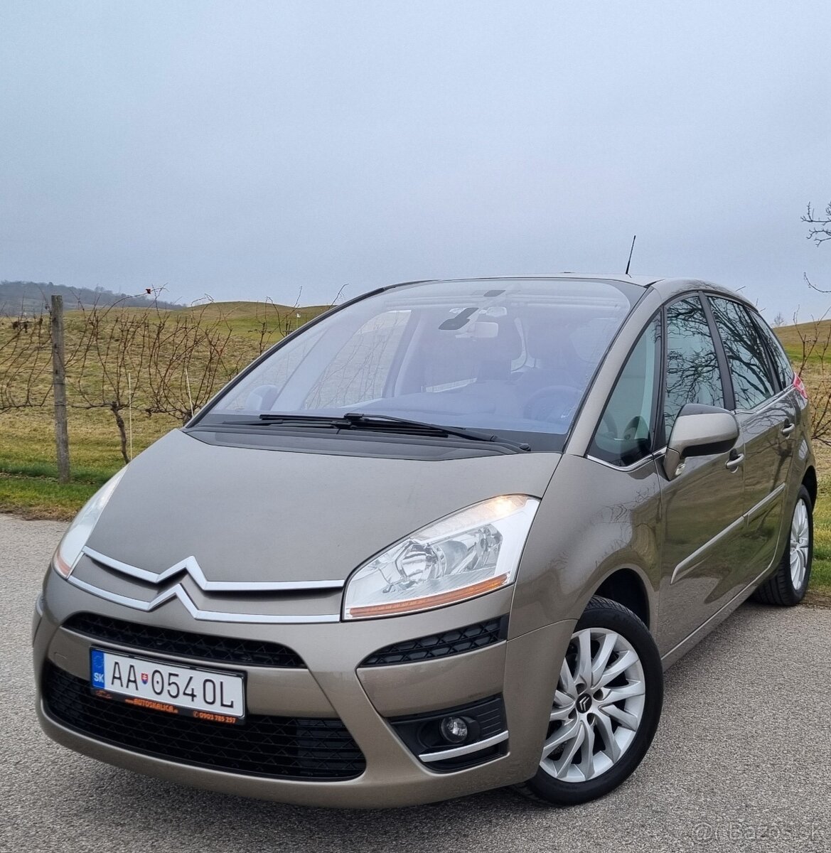 Citroen C4 Picasso 1.6 HDi 80KW/110PS R.V.08/2010