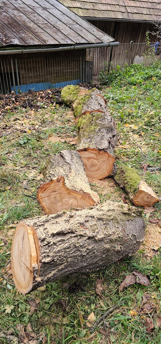 Predám drevo (čerešňa) na vyrezávanie