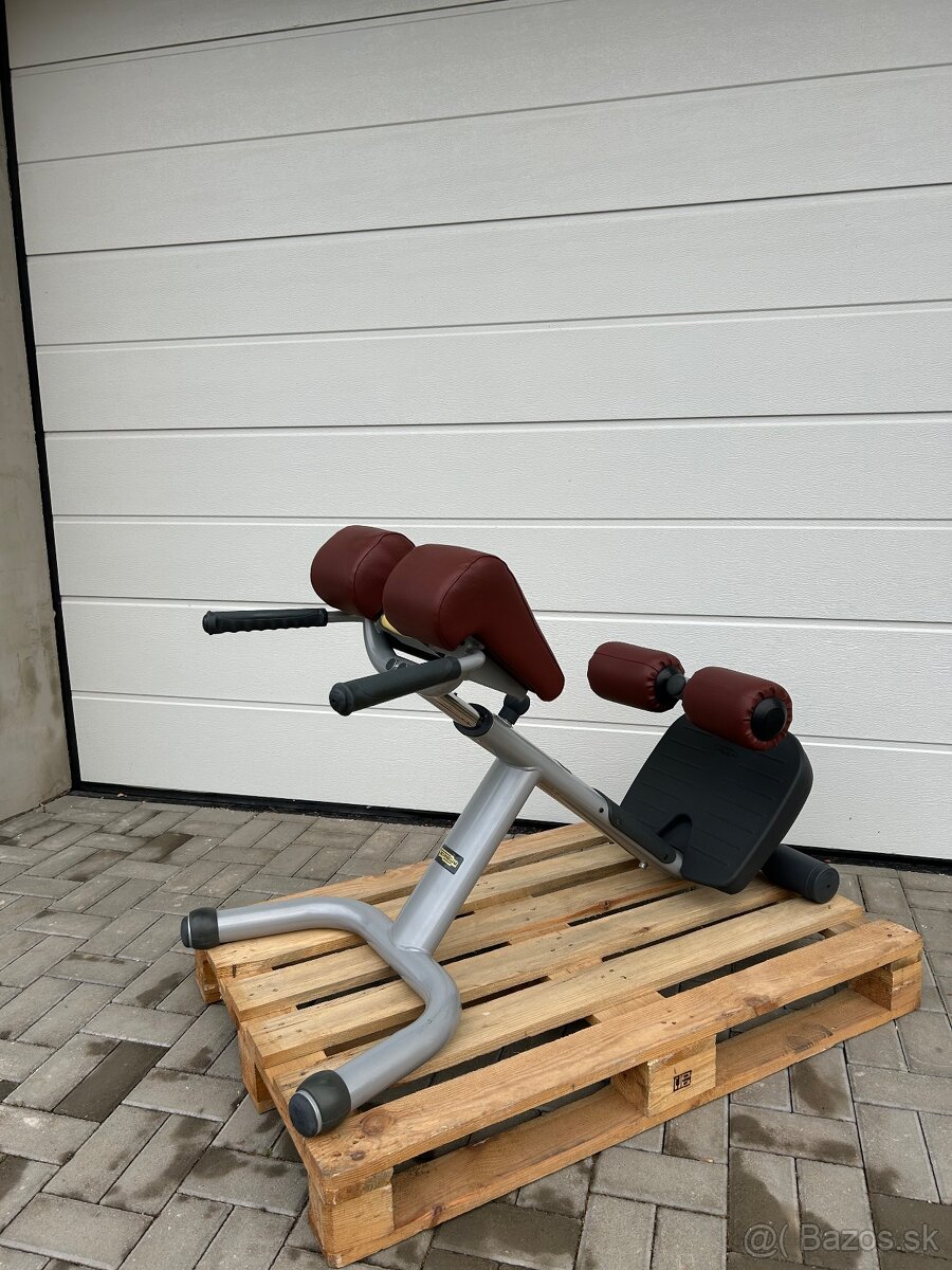 Hyperextenzia Technogym Selection