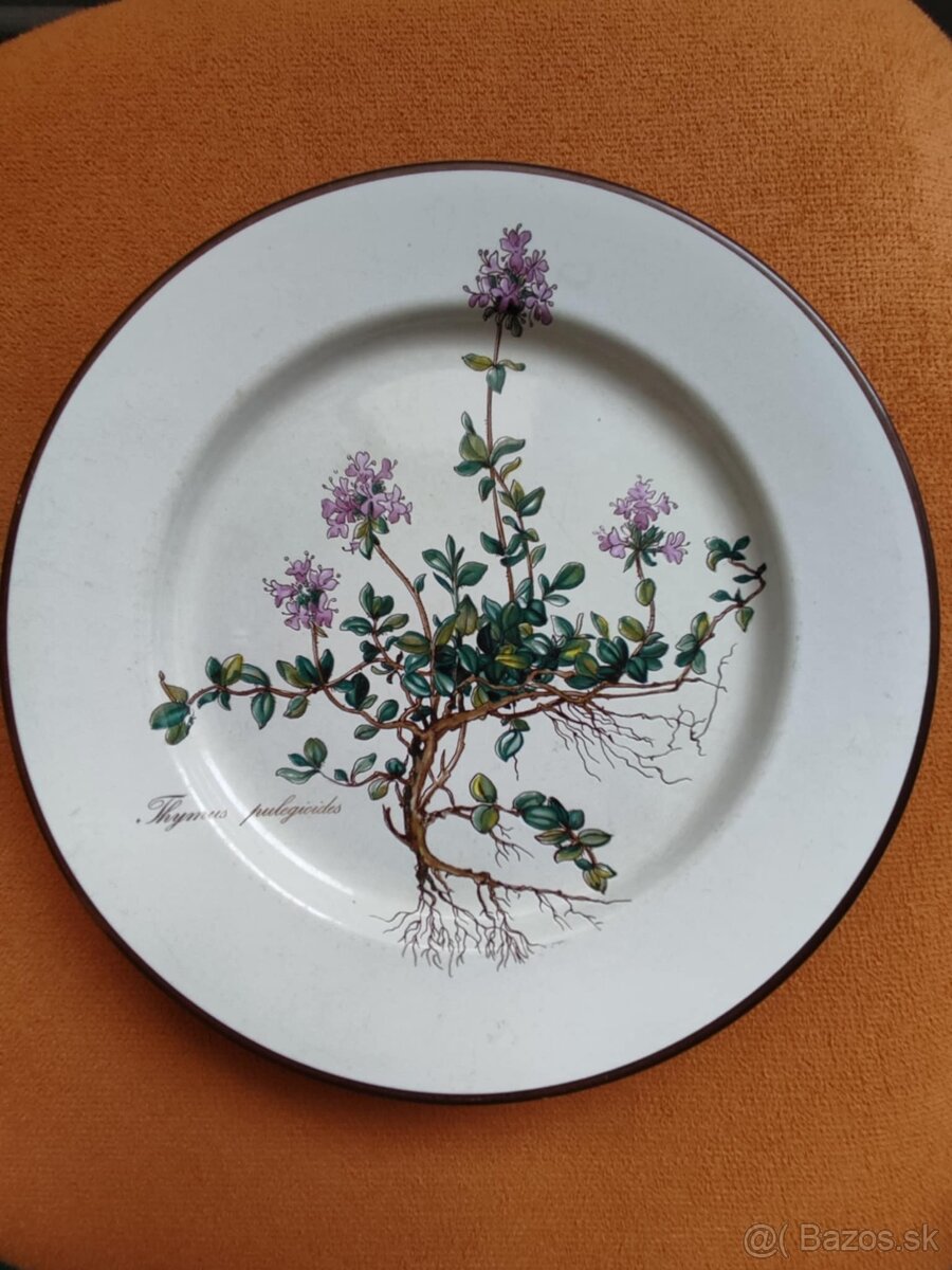 Plochý tanier Villeroy & Boch "Botanica"