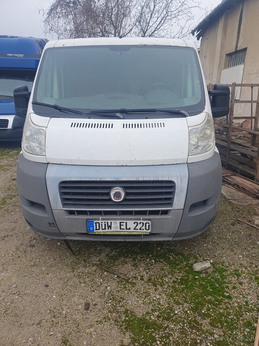 Ducato