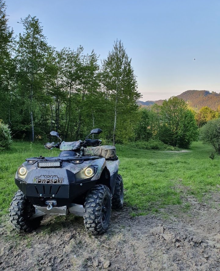 Kawasaki Brute Force 750