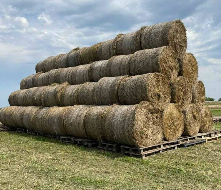 Seno - veľké okrúhle balíky z podhorskej oblasti