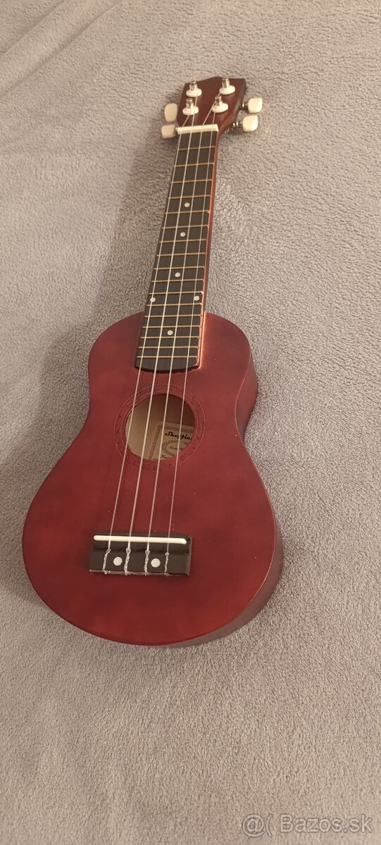 Ukulele pre začiatočníkov