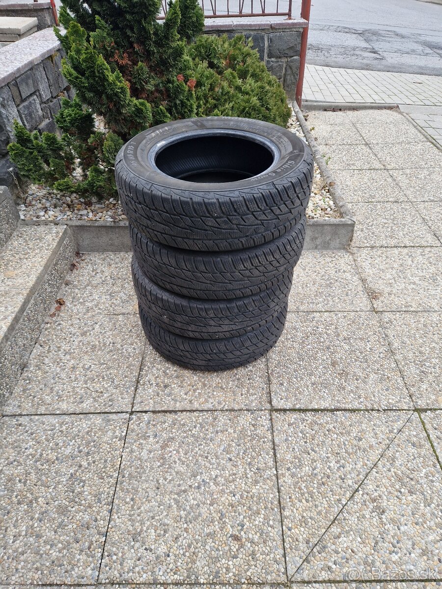 195/65 R15 zimne