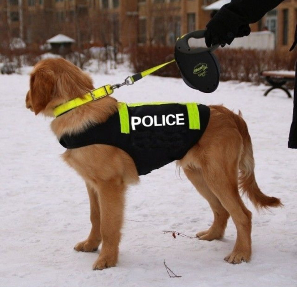 Oblečenie pre psa / policajná vesta