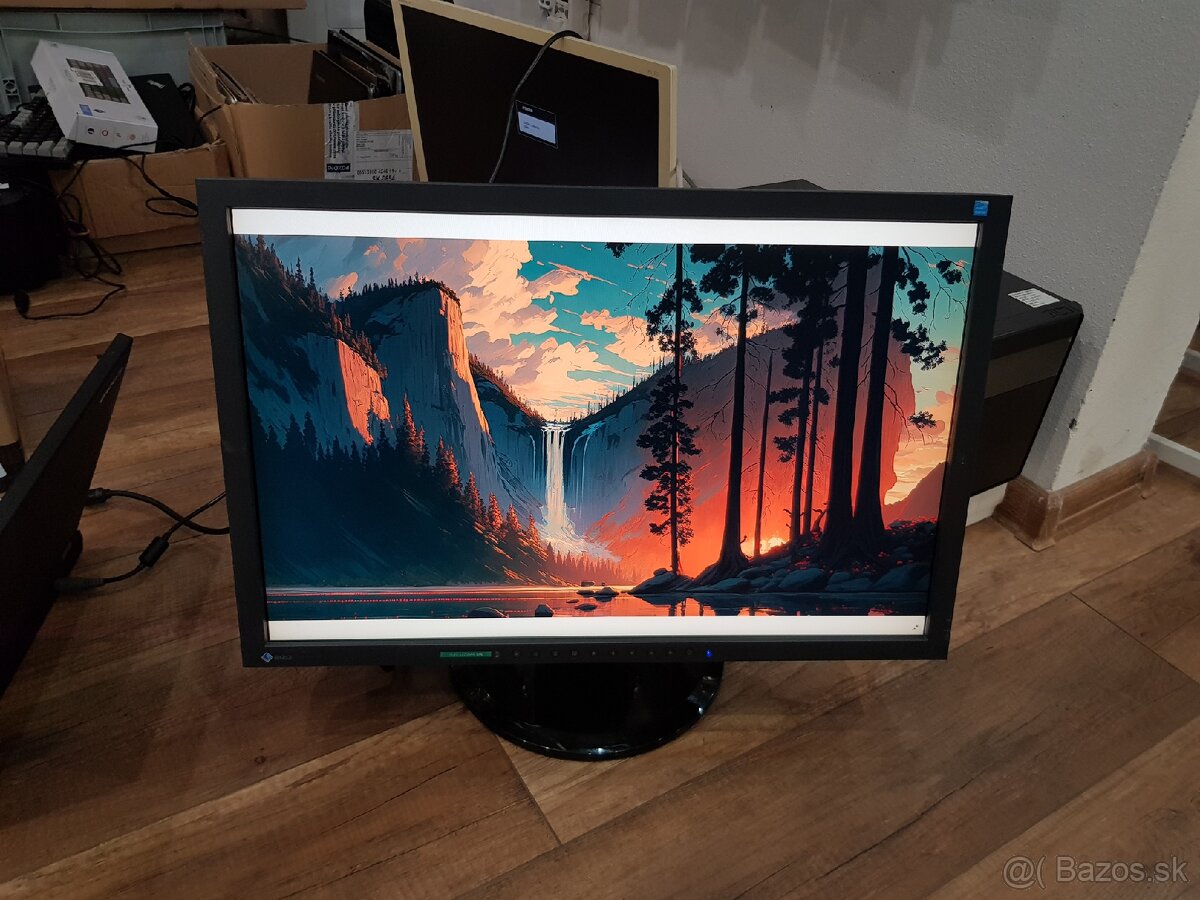 Eizo Flexscan S2243W 22"