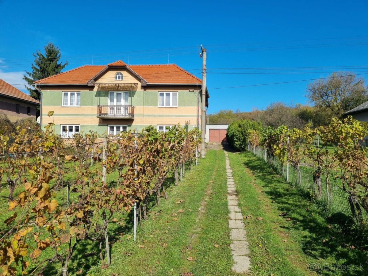 Dvojgerenačný dom s vinicou a ovocným sadom