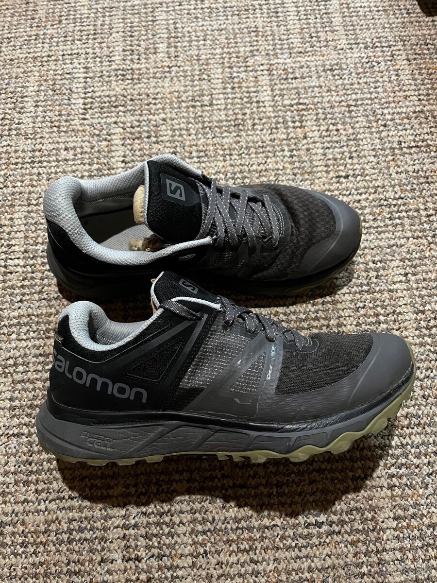 Salomon Trailster gtx